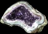 Amethyst Crystal Geode - Uruguay #50203-1